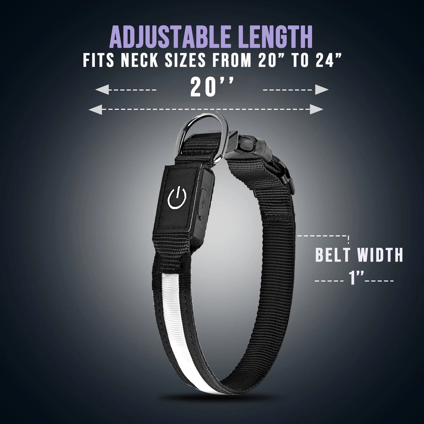 Glow in the Dark LED Dog Collar β Waterproof, Type-C Rechargeable, Night Safety Collar