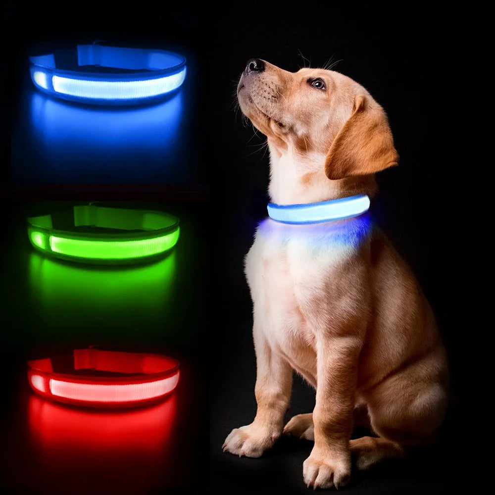 GlowGuard™ USB Rechargeable LED Dog Collar – Night Safety & Waterproof Design