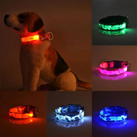 Camouflage LED Luminous Dog Collar – USB Rechargeable, Waterproof Camouflage Design