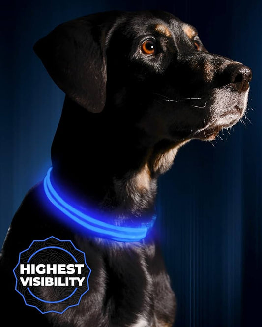 GlowGuard™ USB Rechargeable LED Dog Collar – Night Safety & Waterproof Design