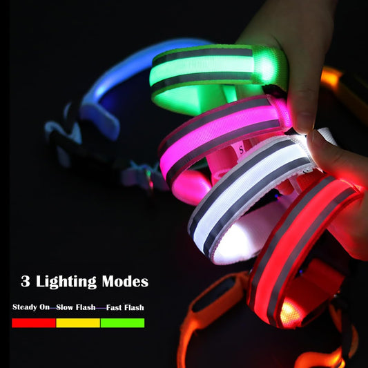 Glow in the Dark LED Dog Collar – Waterproof, Type-C Rechargeable, Night Safety Collar