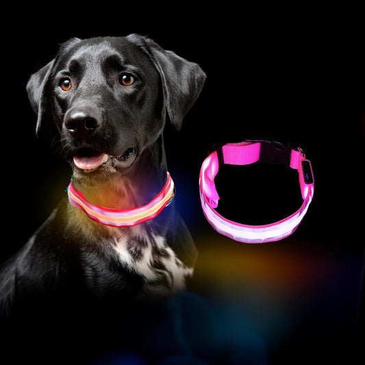 Glow in the Dark LED Dog Collar – Waterproof, Type-C Rechargeable, Night Safety Collar